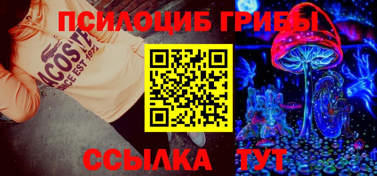 Псилоцибиновые грибы Psilocybine cubensis  Вход с VPN  Луга 