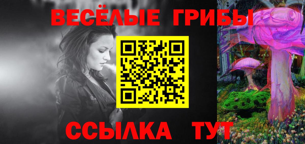 Галлюциногенные грибы GOLDEN TEACHER Луга